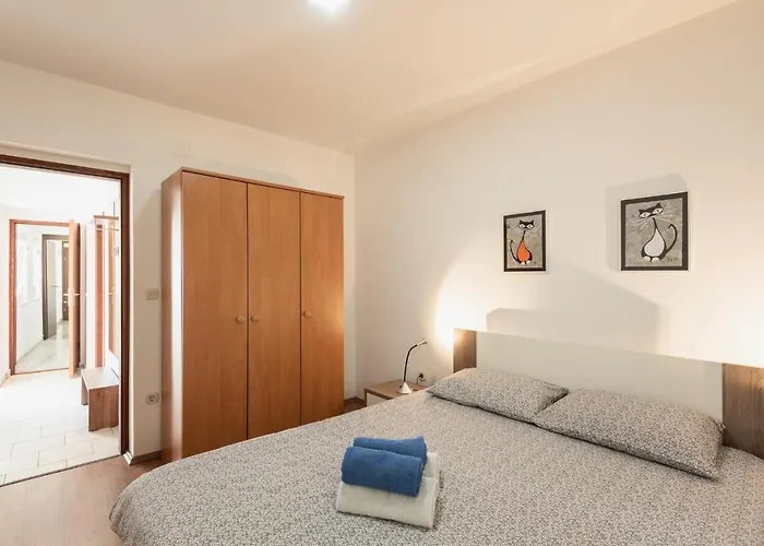 N&t Apartment Pula